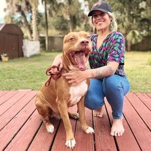 Meet your Posher, Lola